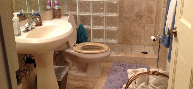 salon toilet